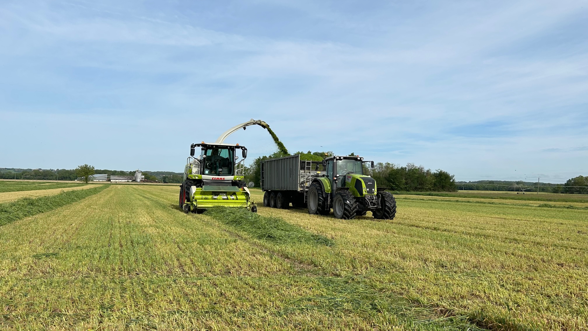 Ensileuse CLAAS JAGUAR en chantier d'ensilage