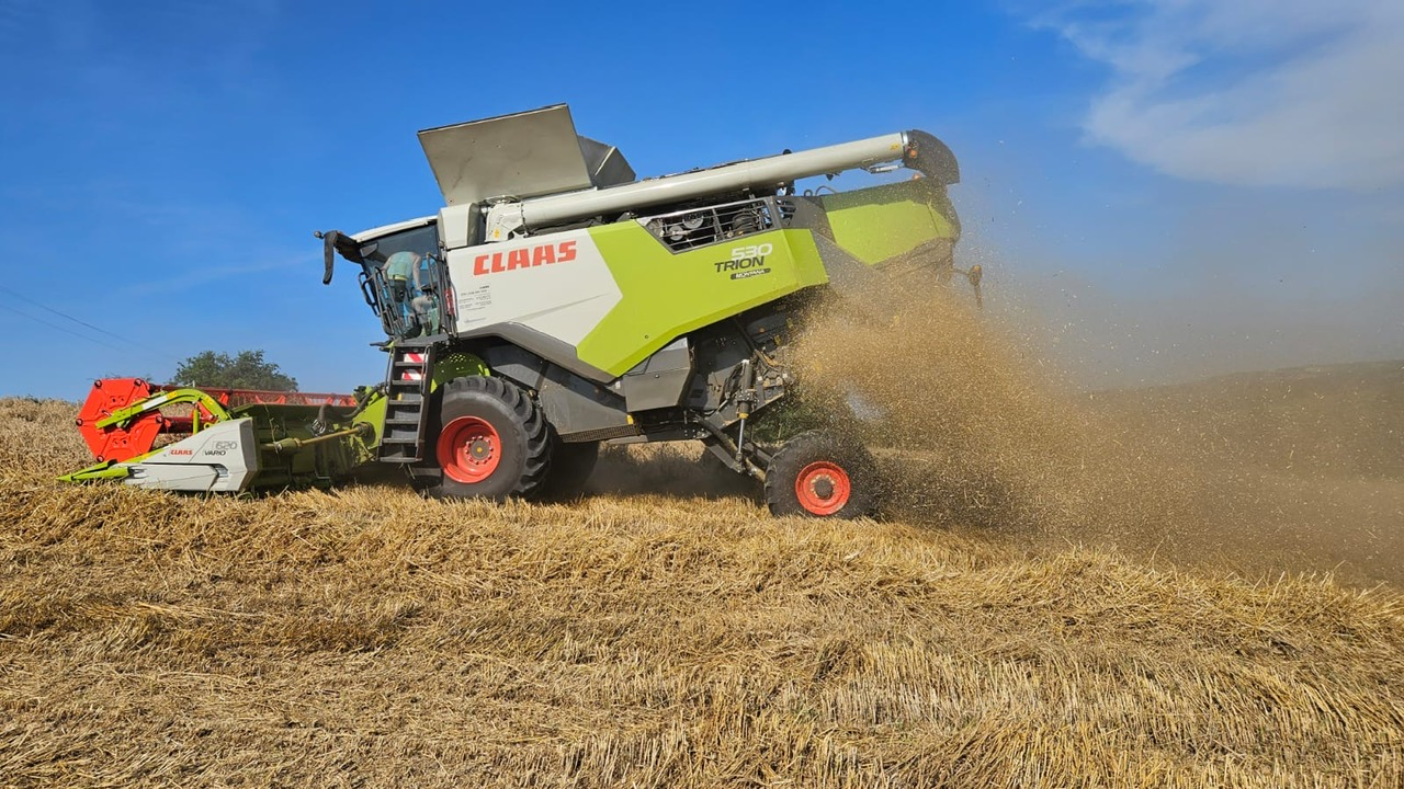 Moissonneuse-batteuse CLAAS en pleine récolte de céréales